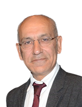 Salih Oktar (PALS Professor)